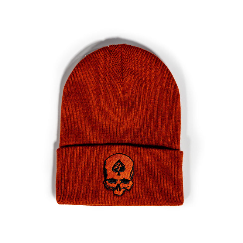 🎁 ZF Skull Beanie (100% off)